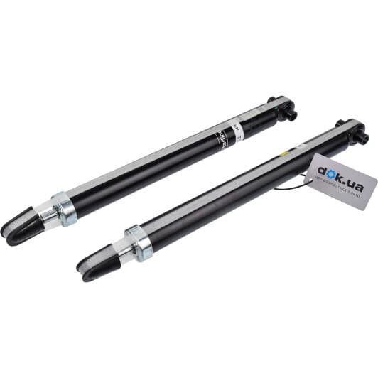 TL C00193.2 Starline Амортизатор