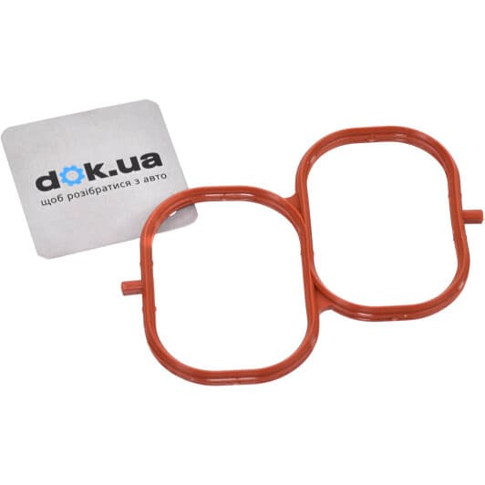 71-42844-00 Reinz Прокладка впускного коллектора