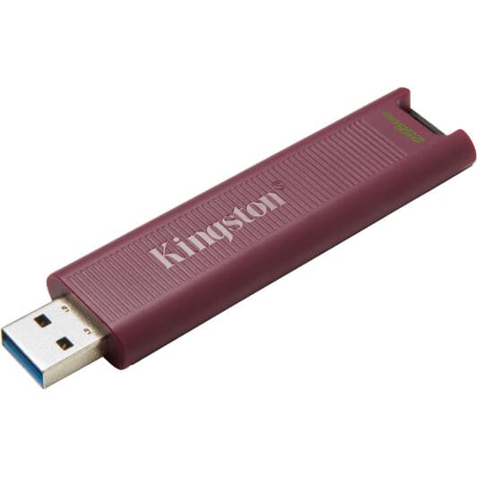 Флешка Kingston DataTraveler Max 256 ГБ DTMAXA256GB