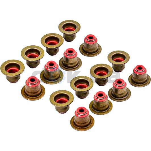 12-37281-01 Reinz Комплект сальников клапанов