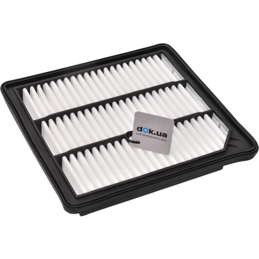 20-09-924 Ashika Воздушный фильтр для Fiat Freemont