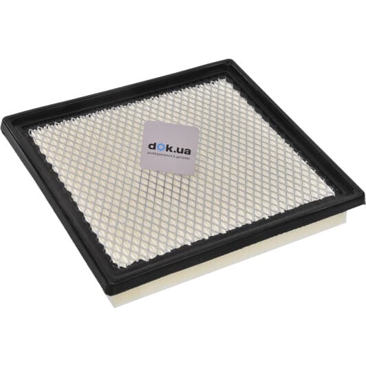 CAF100856P Champion Повітряний фільтр