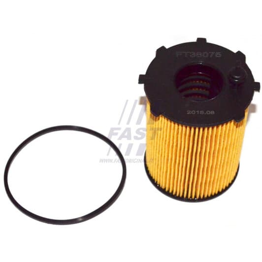 ft38075 Fast Оливний фільтр
