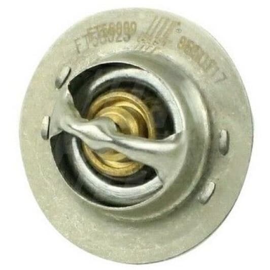 ft58009 Fast Термостат