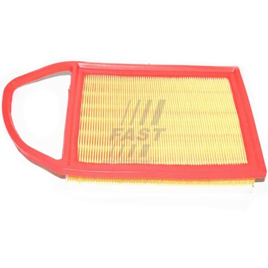 FT37134 Fast Повітряний фільтр