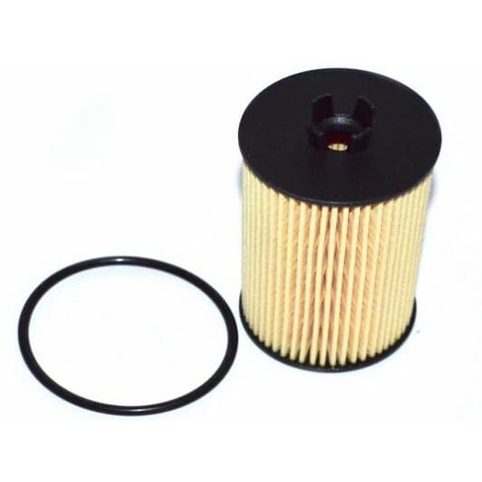 FT38066 Fast Оливний фільтр