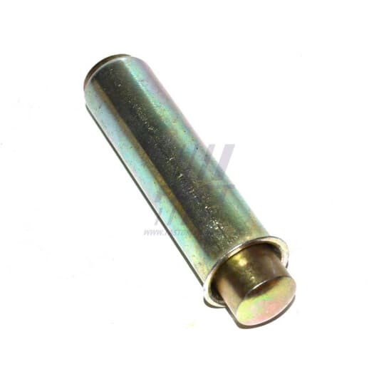 FT44081 Fast Натяжной ролик ремня ГРМ