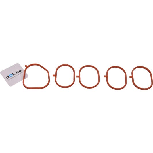 11-40022-01 Reinz Комплект прокладок впускного коллектора