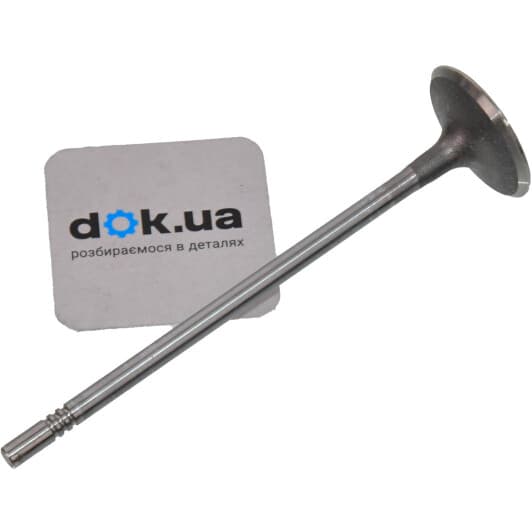 55557862 General Motors Впускной клапан