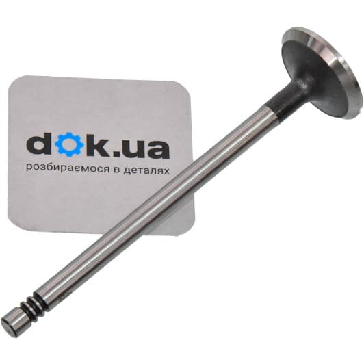 V95050 AE Выпускной клапан