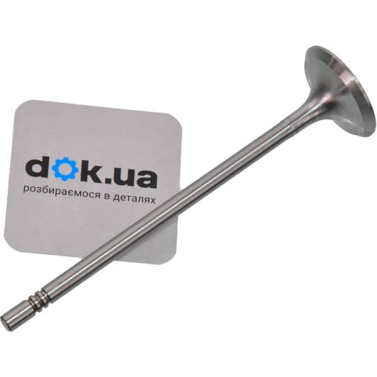 V016839 BGA Впускний клапан