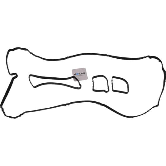 15-42161-01 Reinz Комплект прокладок клапанной крышки