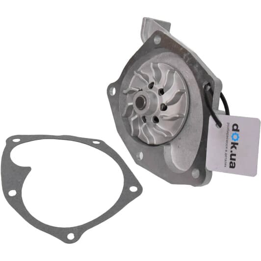 RD150165563 Rider Помпа