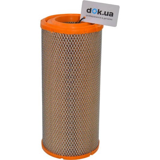 AM4062 Filtron Повітряний фільтр