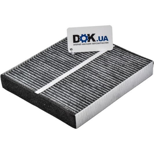 AC201C JS Asakashi Фільтр салону