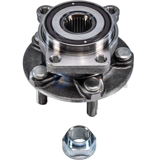 R181.19 SNR Ступиця колеса