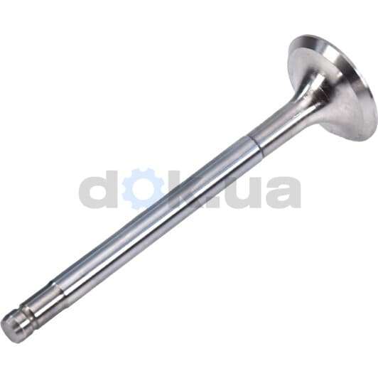 R3443/RCR Freccia Випускний клапан для Peugeot 505