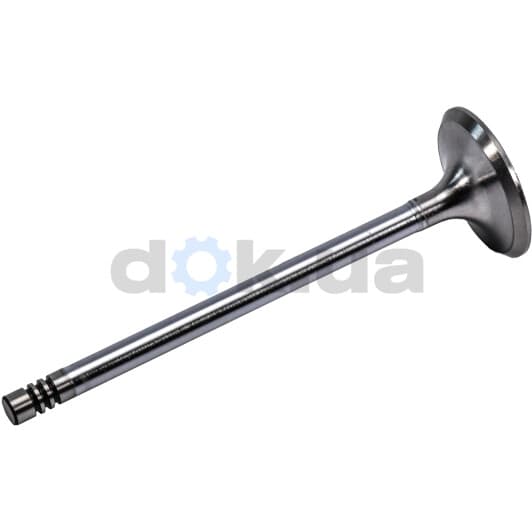 1211301800 JP Group Впускний клапан