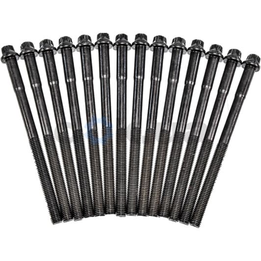 14-32001-01 Reinz Болт ГБЦ