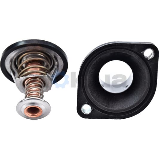 TH24989G1 Gates Термостат