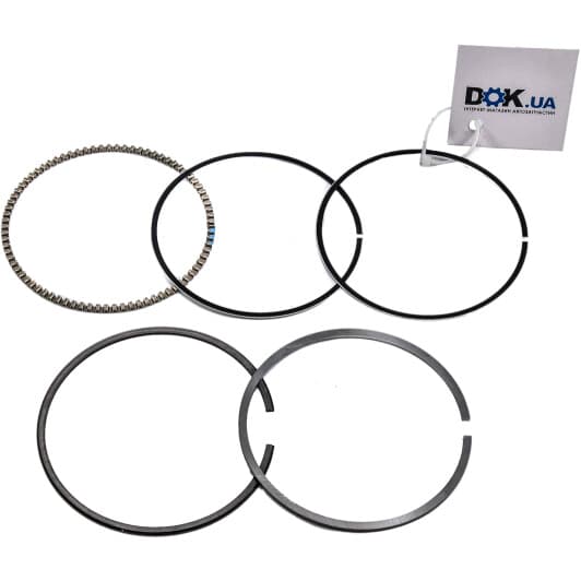 022 02 N1 Mahle Комплект поршневых колец