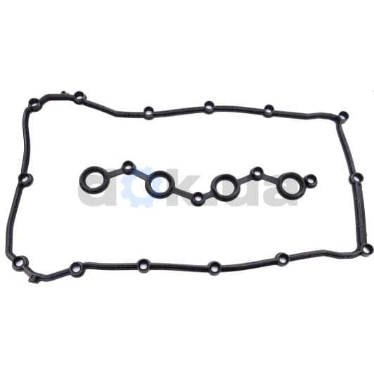 15-10007-01 Reinz Комплект прокладок клапанної кришки