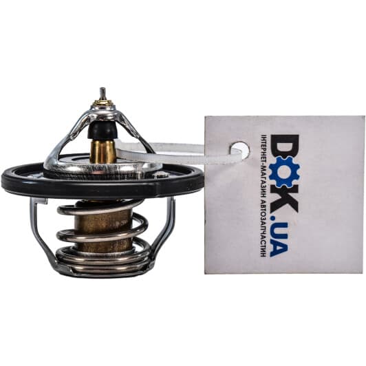 255002B000 Hyundai / Kia Термостат