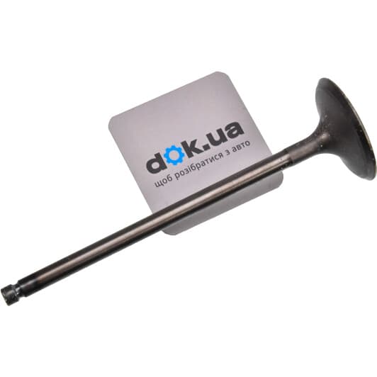 13201AA362 Subaru Впускний клапан