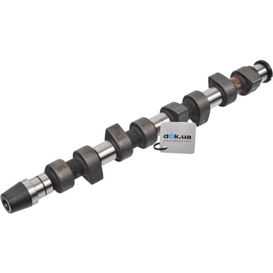 428006310 INA Розподільний вал