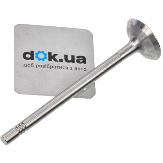 R6690/S Freccia Впускний клапан