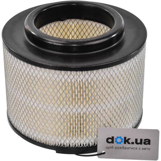 20-02-259 Ashika Воздушный фильтр