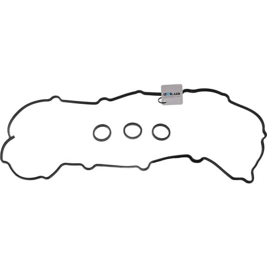 15-10015-01 Reinz Комплект прокладок клапанной крышки