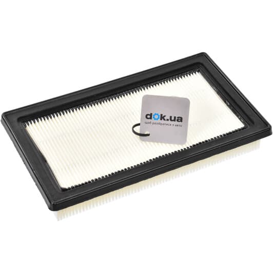 CAF100956P Champion Воздушный фильтр