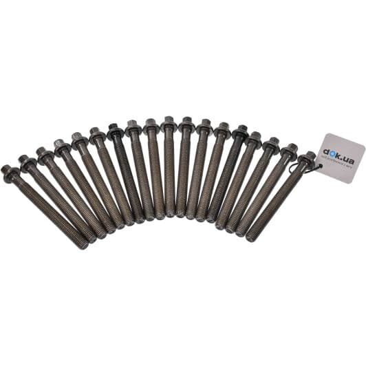 14-10569-01 Reinz Болт ГБЦ