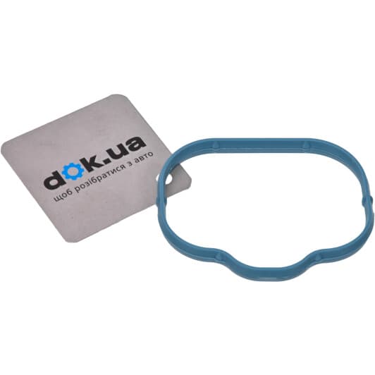 71-10360-00 Reinz Прокладка впускного коллектора