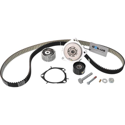 530 0561 30 INA Комплект ремня ГРМ + помпа