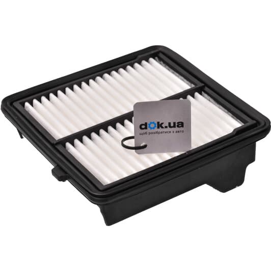 CAF100880P Champion Воздушный фильтр