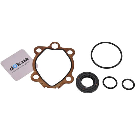 NI8007KIT MSG Насос ГУР