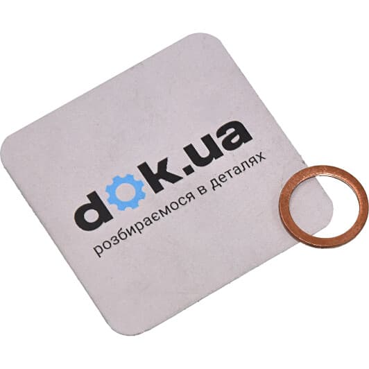 41-70058-00 Reinz Уплотняющее кольцо сливной пробки