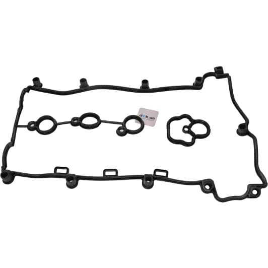 15-38833-01 Reinz Комплект прокладок клапанної кришки
