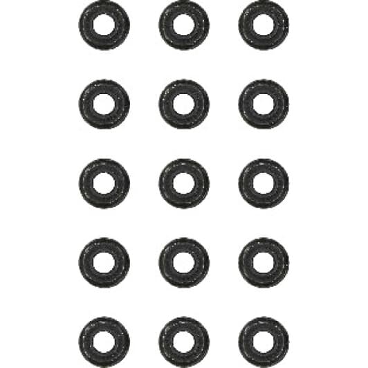 12-31306-10 Reinz Комплект сальников клапанов