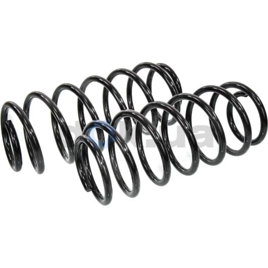 sf027tp RAISO Пружина підвіски