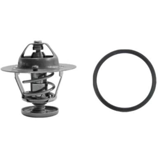 TH31682G1 Gates Термостат