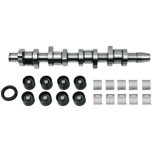 b18664 Borsehung Комплект розподільного вала