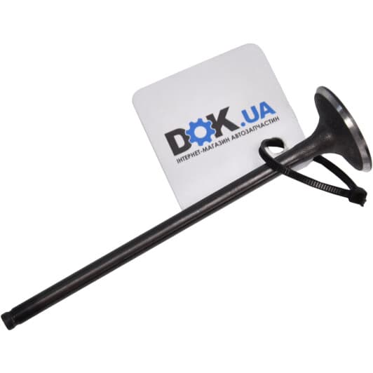 R6232/SNT Freccia Впускний клапан