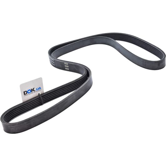 VKMV 6PK1558 SKF Поликлиновой ремень