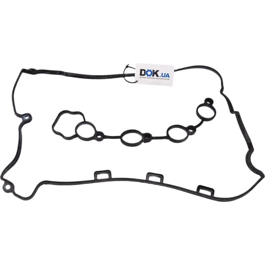 15-40822-01 Reinz Комплект прокладок клапанной крышки