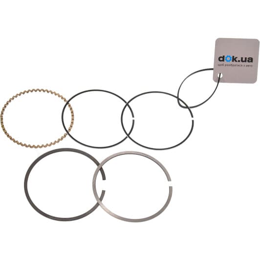 627 39 N0 Mahle Комплект поршневих кілець