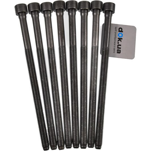 14-32198-01 Reinz Болт ГБЦ