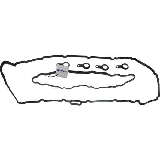 15-10001-01 Reinz Комплект прокладок клапанной крышки